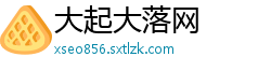 大起大落网